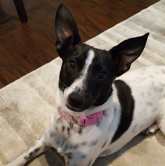 Open to offers! - Picture 1 of 1